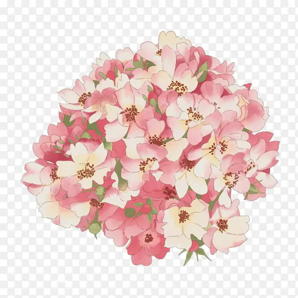 水彩花朵白色花朵