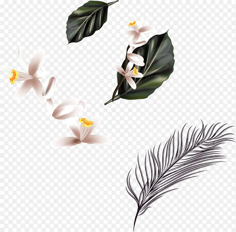 矢量手绘花朵和树叶PNG图片素材下载_图片编号ylbvxnng-免抠素材网