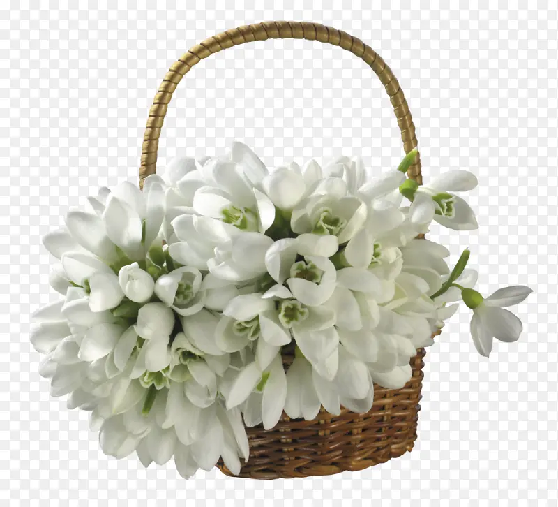 花篮白色花朵