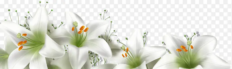 白色卡通清新花朵