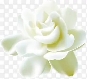 白色卡通分层花朵