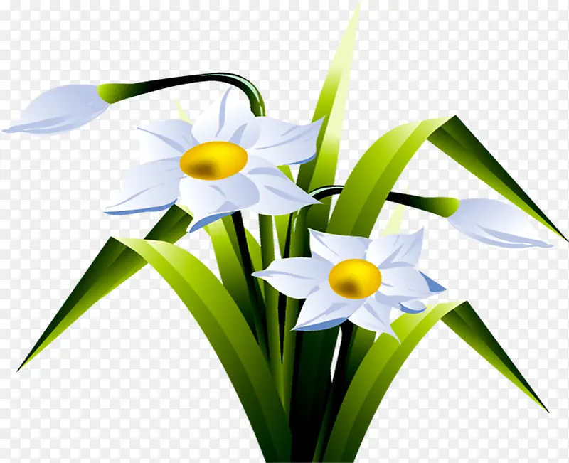 白色卡通花朵植物春天