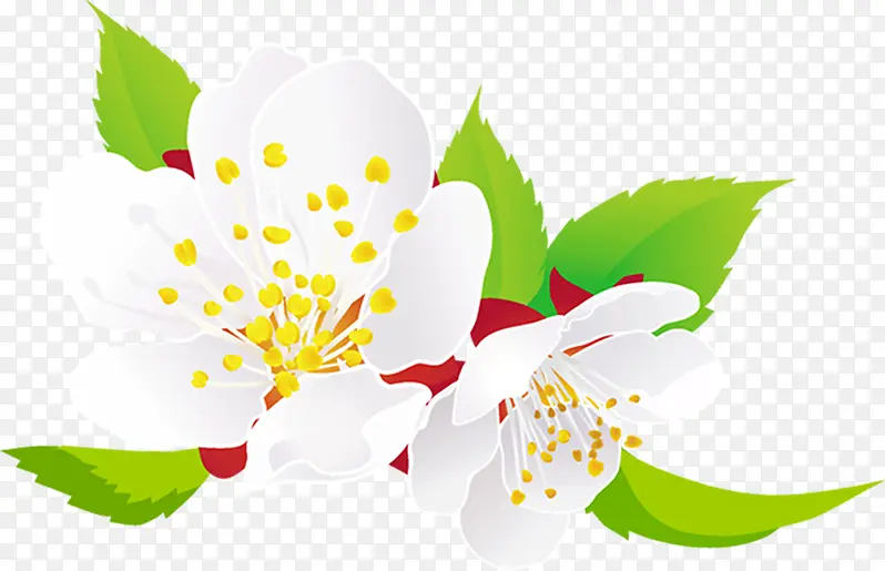 春天清新白色花朵装饰