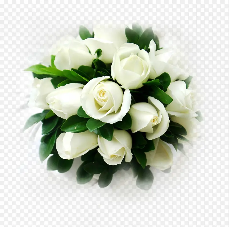 白色花朵纯洁寓意