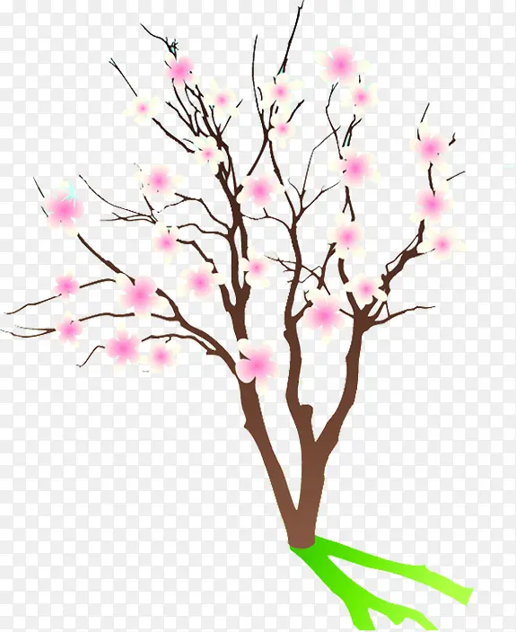 手绘粉白色花朵树枝