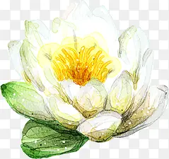 手绘水墨白色花朵装饰