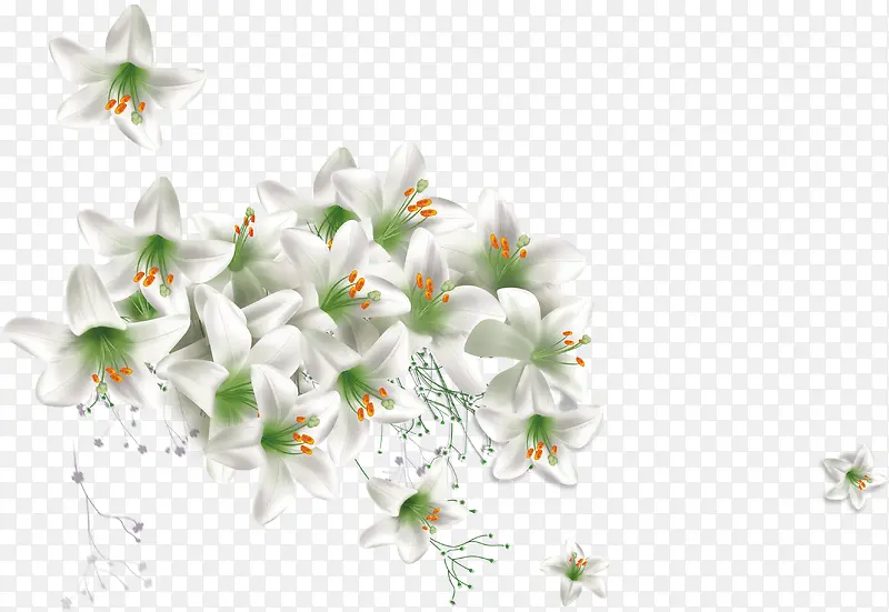 白色梦幻花朵植物