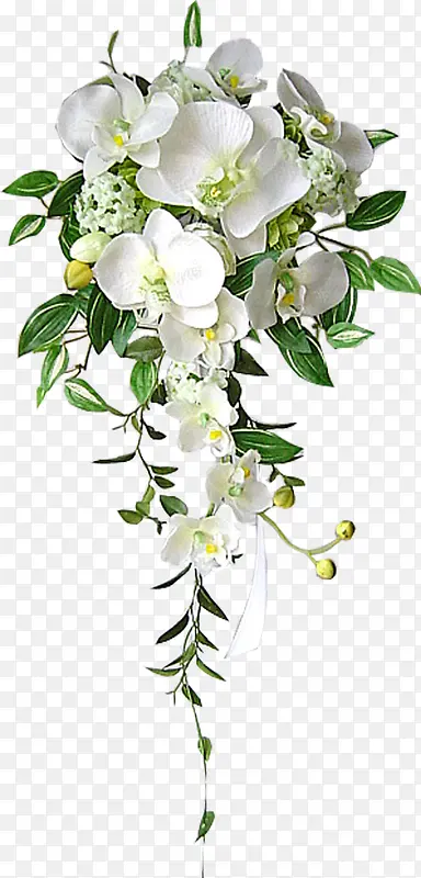 高清白色花朵绿叶花束