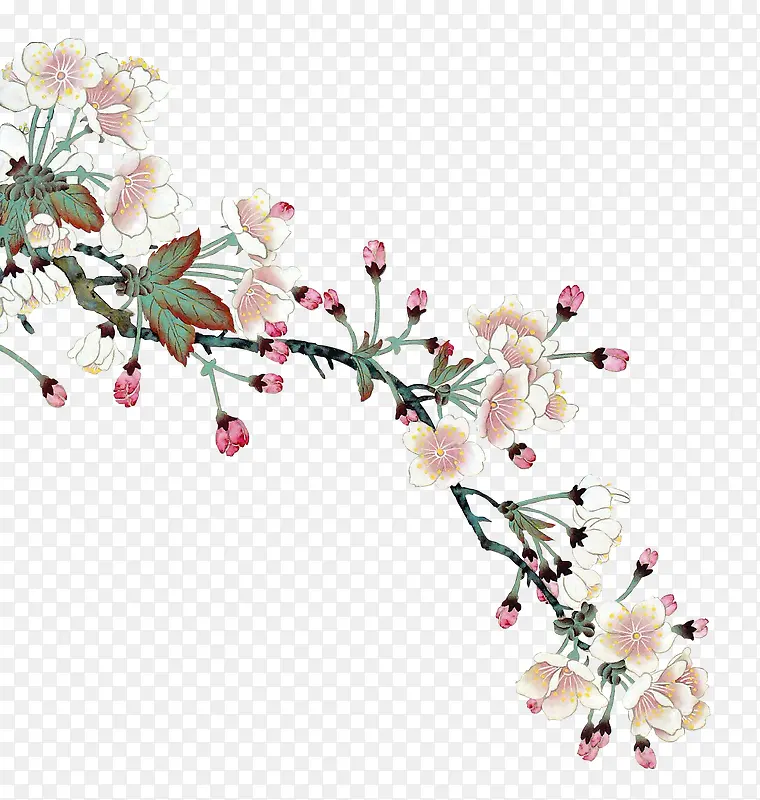 手绘白色花朵植物素材