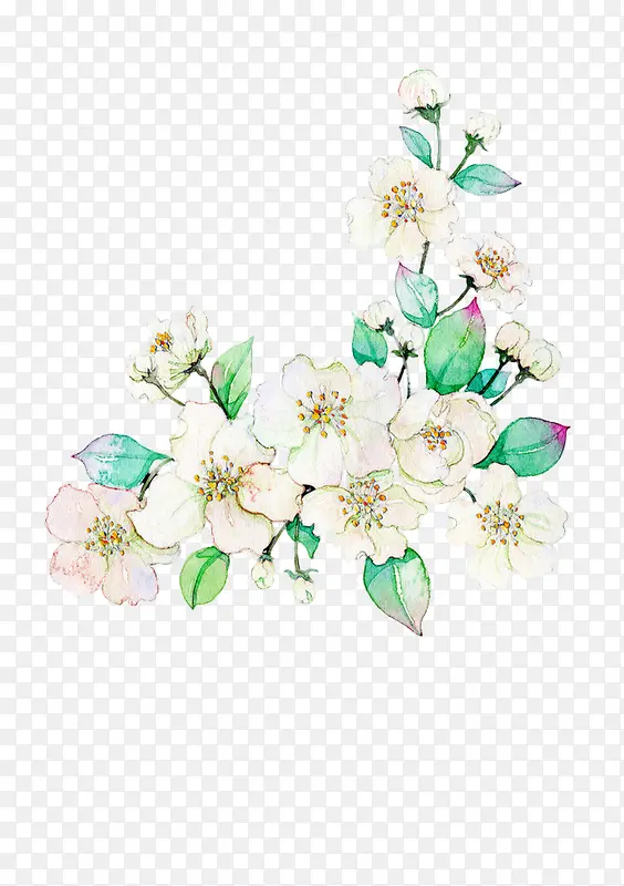 白色花朵立绘免抠素材