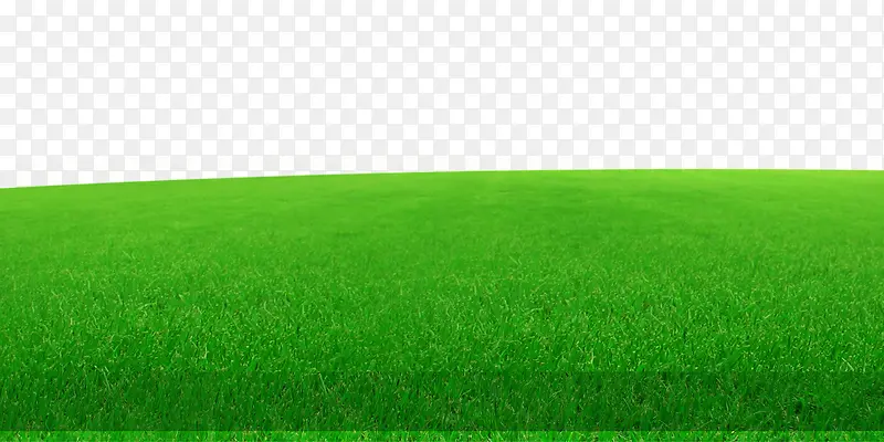草地