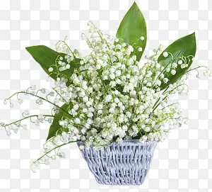 白色花朵绿叶花篮