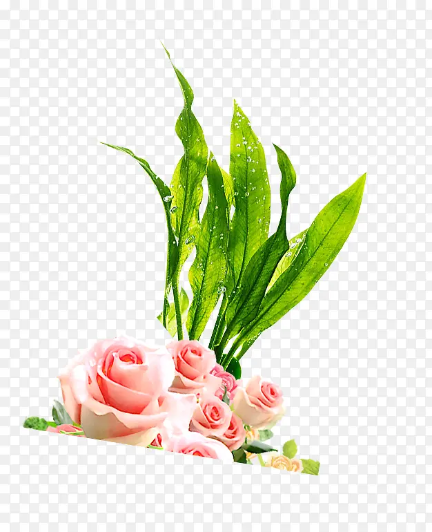 粉色玫瑰花芦荟叶装饰图案