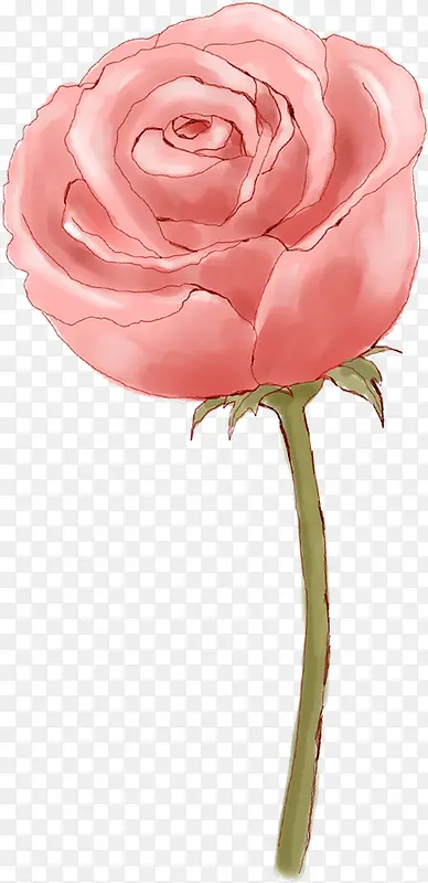 创意手绘粉色的玫瑰花