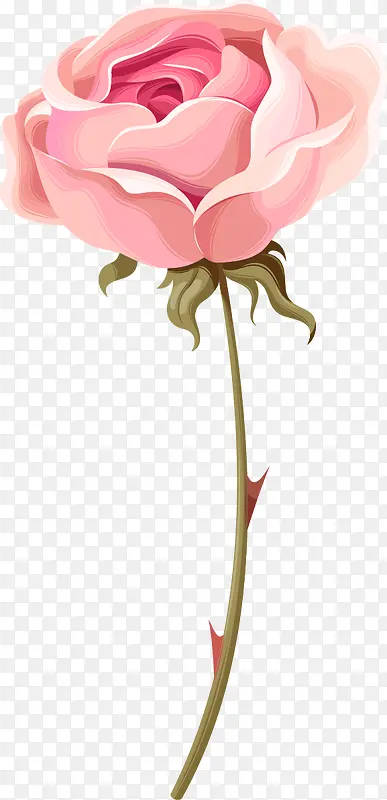 手绘水彩粉色玫瑰花