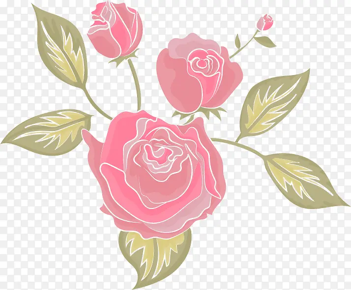粉色玫瑰花设计矢量素材