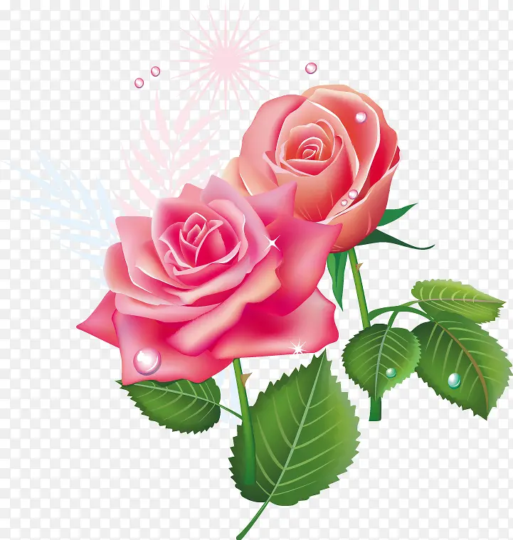 粉色玫瑰花图案