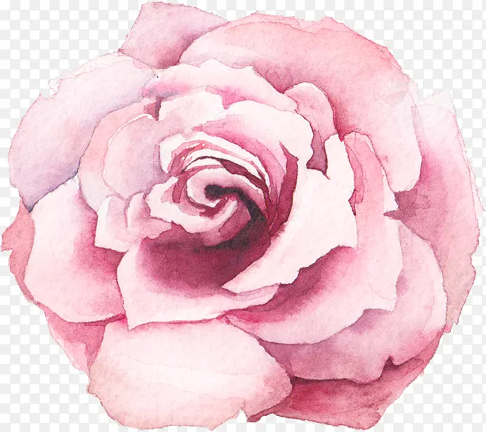 水彩手绘粉色花朵玫瑰花