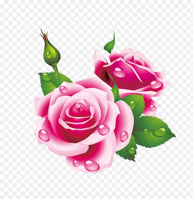 卡通玫瑰花