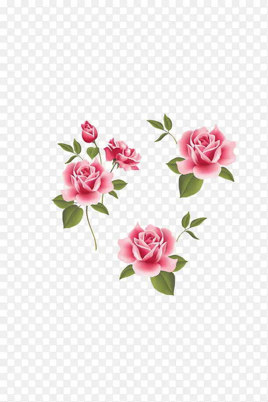 玫瑰花 粉色玫瑰 粉色花朵 花