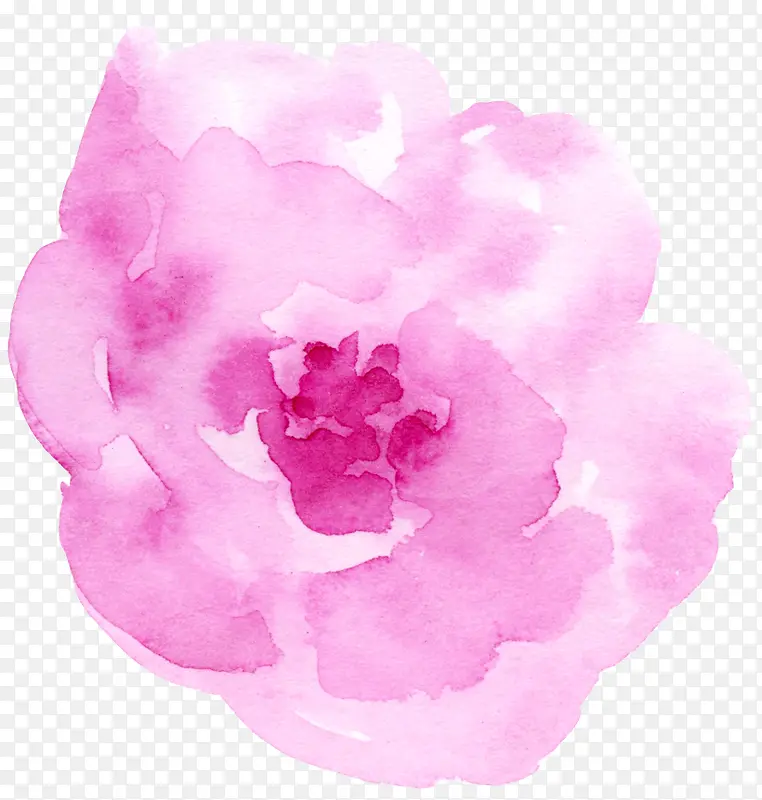 水彩粉色玫瑰花