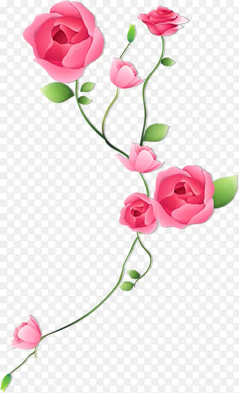 粉色玫瑰花卡通手绘