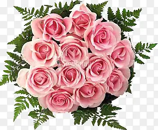 粉色玫瑰花绿叶花束