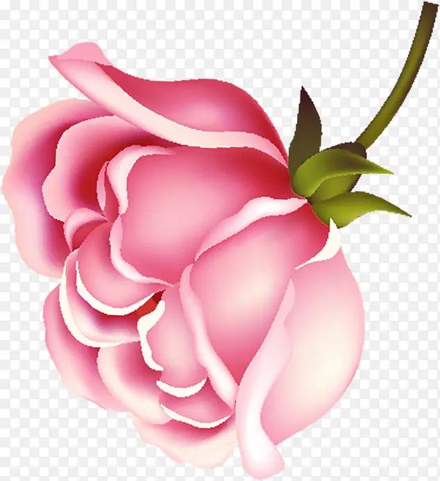 海报效果设计植物玫瑰花效果