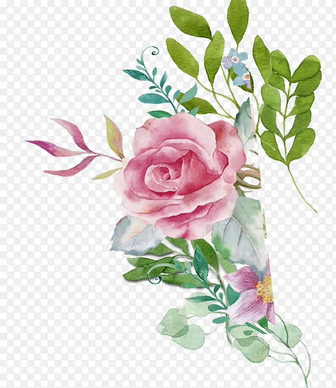 手绘水彩绘画玫瑰花