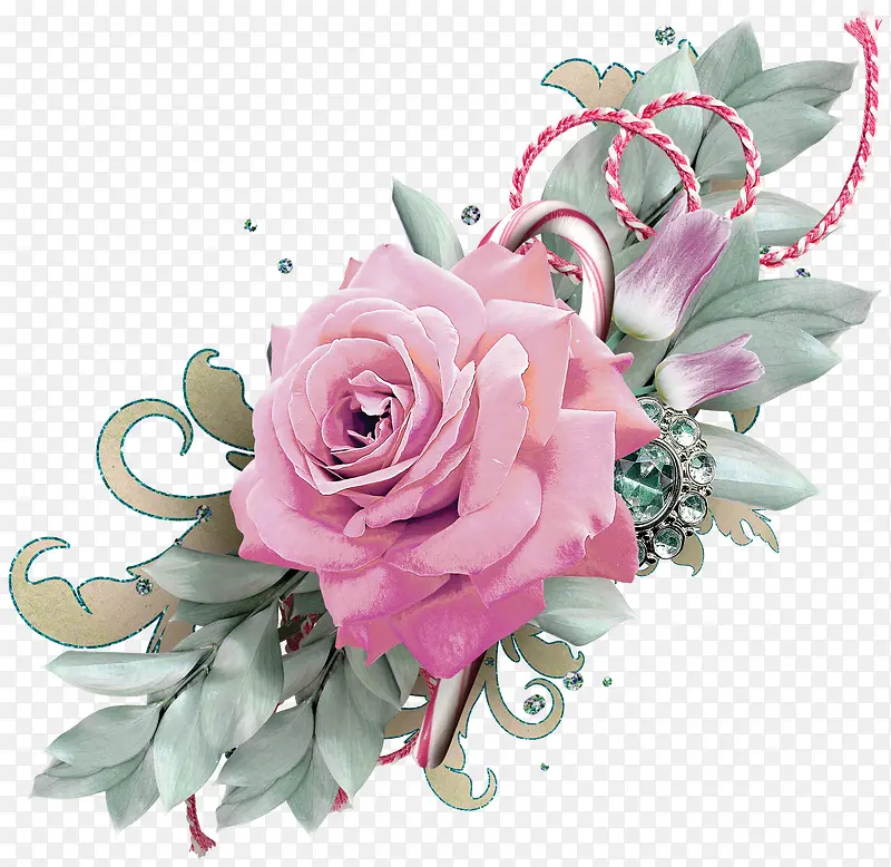 玫瑰花鲜花