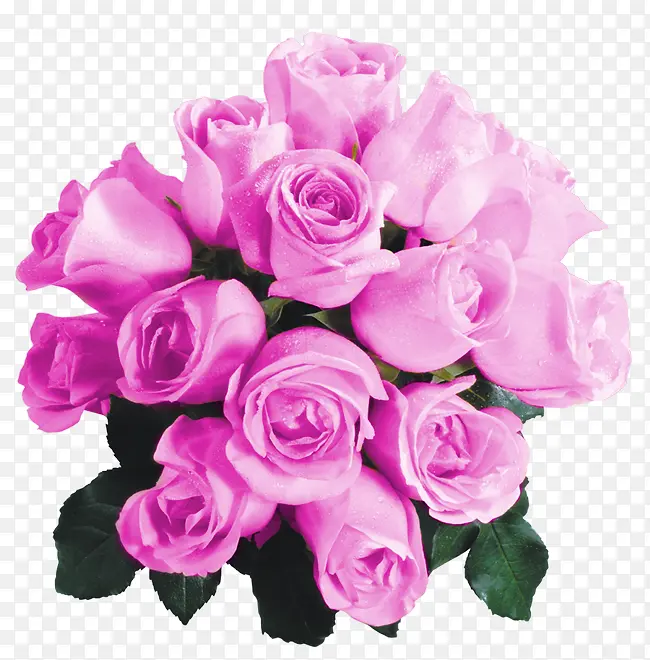 一束紫色玫瑰花