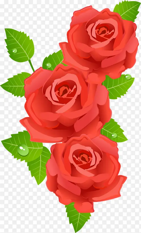 高清手绘玫瑰花