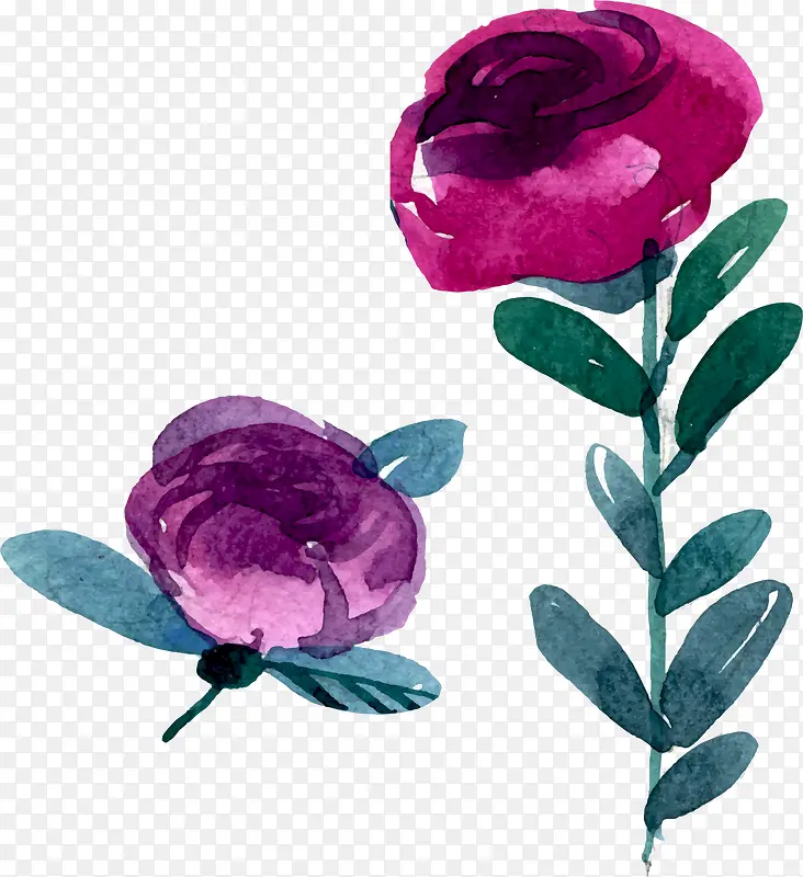 紫色手绘玫瑰花