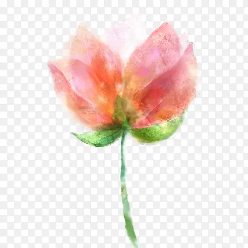 装饰手绘花PNG图片素材下载_图片编号ylbvoexv-免抠素材网
