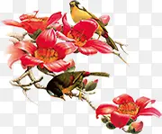 新年春节喜鹊花朵