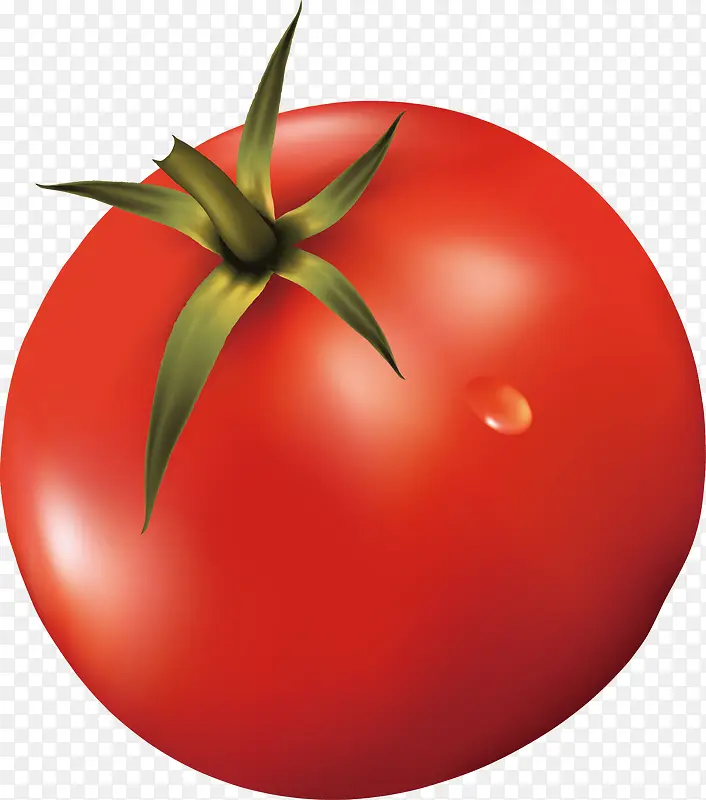 新鲜蔬菜之西红柿