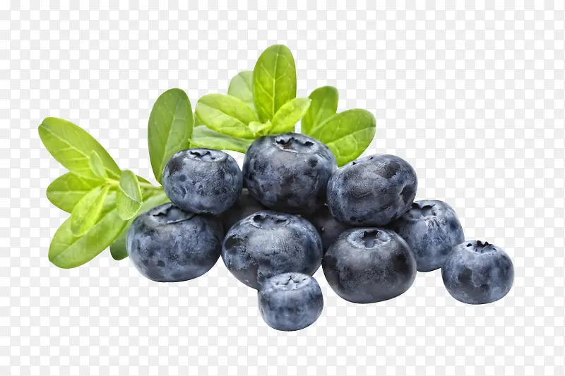 新鲜的多汁蓝莓