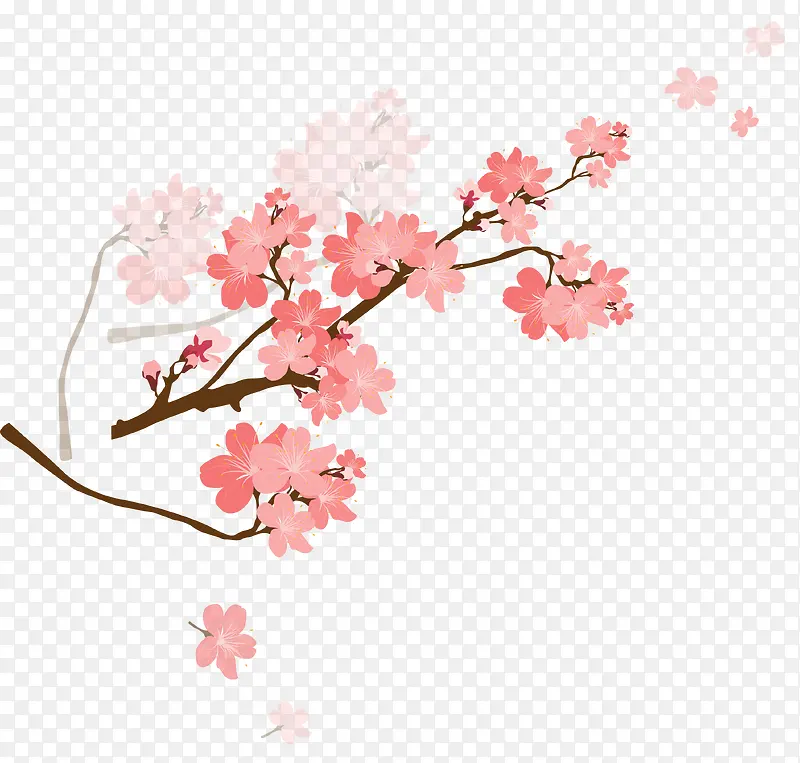 粉红色悬挂枝头的一枝梅