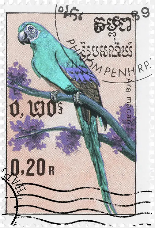 枝头鹦鹉邮票