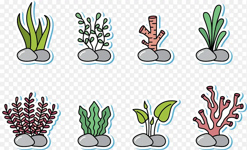 海底生物海草合集