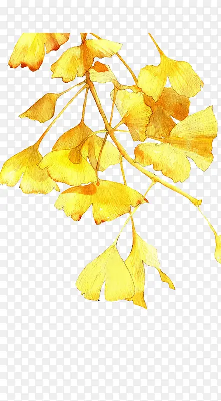 手绘金色叶子透明