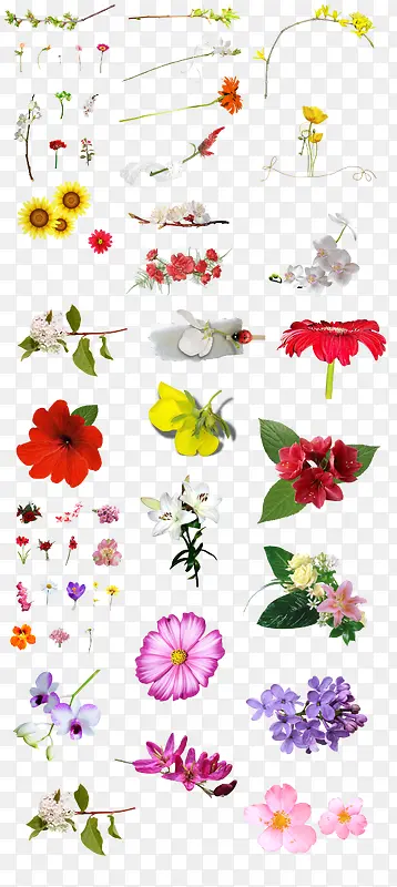 免扣花朵合集