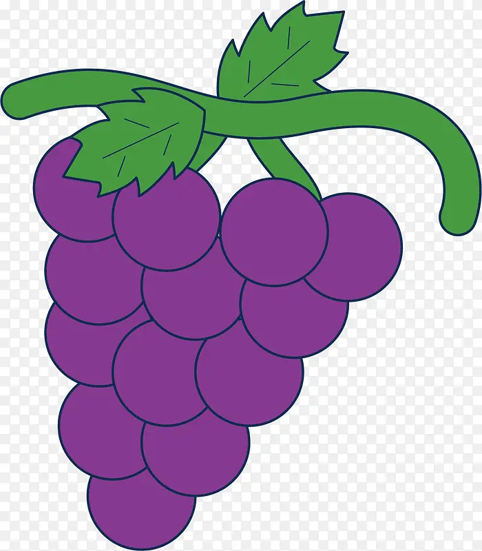 可爱卡通手绘 水果 葡萄