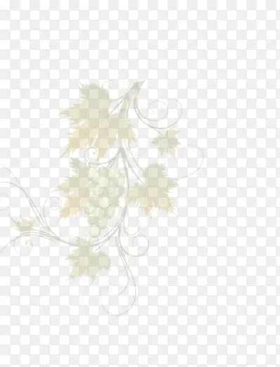 手绘葡萄