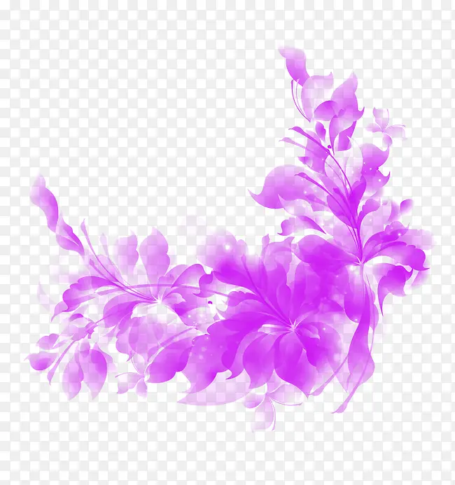 紫色炫彩植物