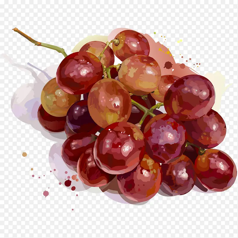 水彩和葡萄