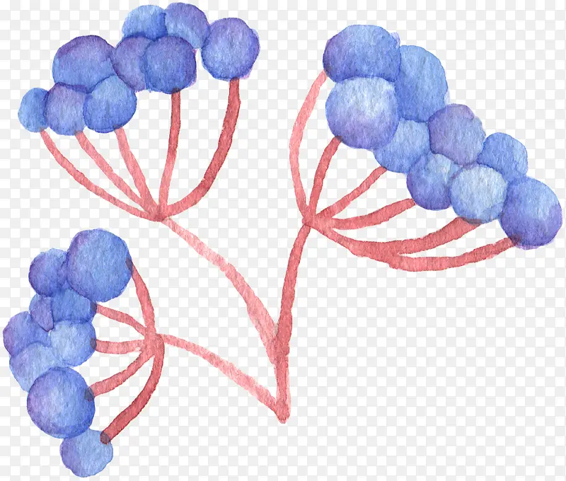 手绘水彩蓝莓果