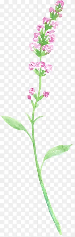 紫色水彩小花束