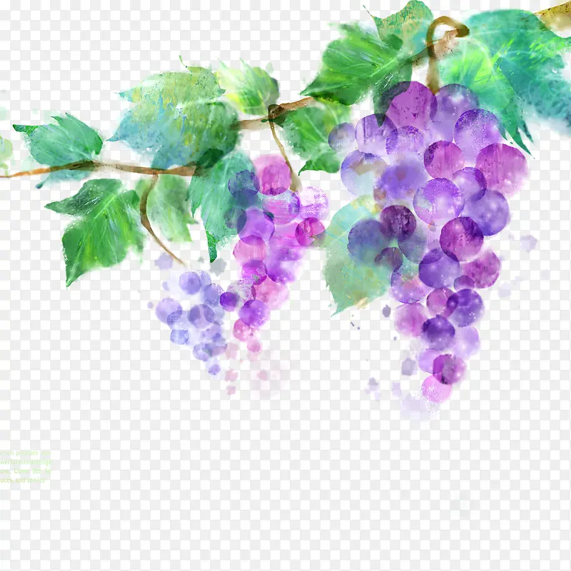 涂鸦紫色葡萄