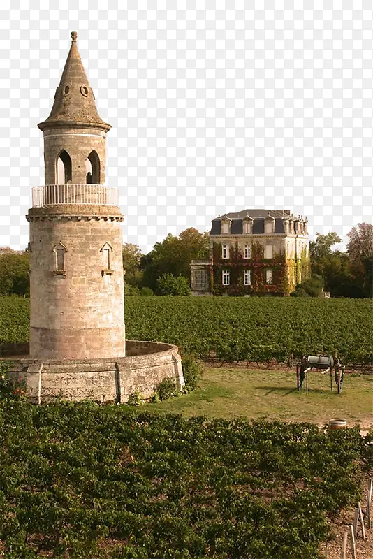 葡萄酒庄园景观